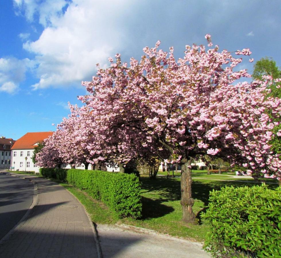 Kastanienhof Luebben公寓 外观 照片