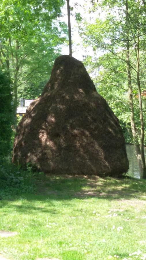 Kastanienhof Luebben公寓 外观 照片
